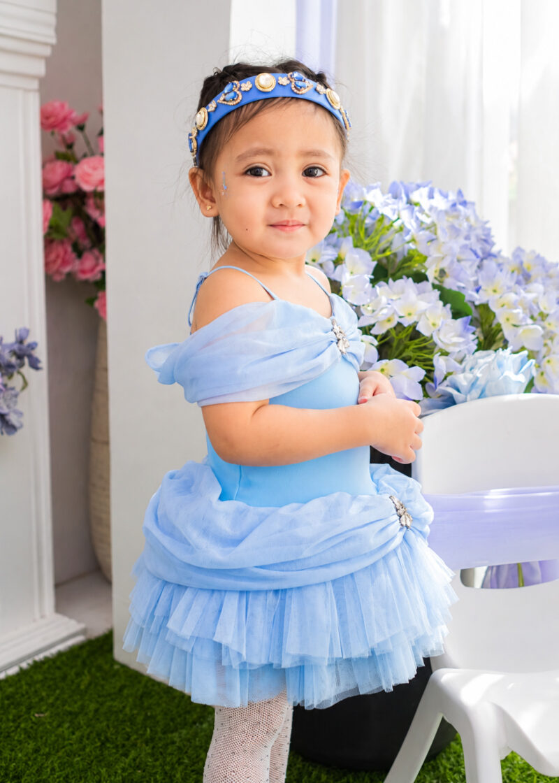 Cinderella Inspired