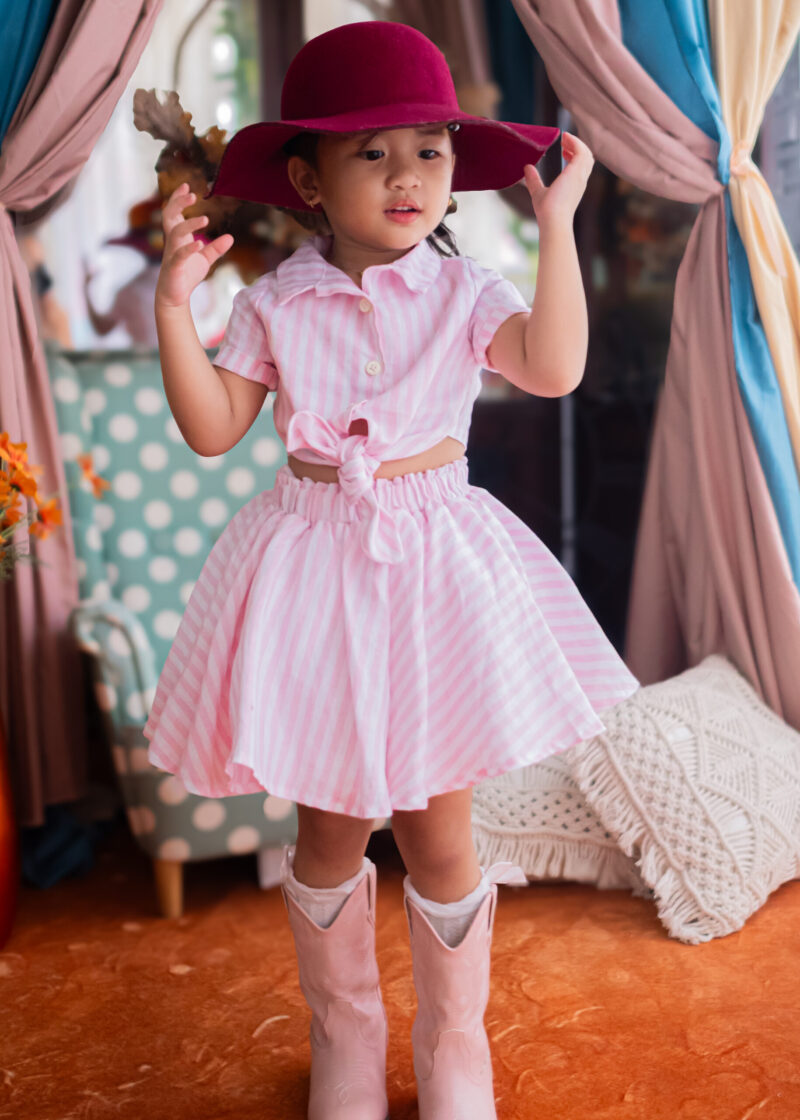 Pink Stripe | Top and Skirt