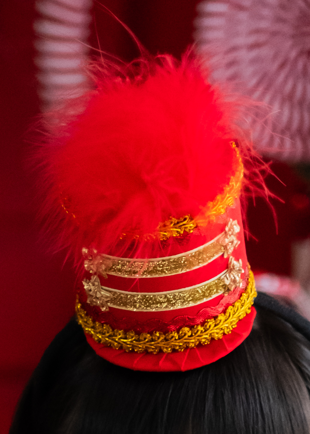 Nutcracker Barbie - Image 6